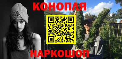 гидра Краснознаменск