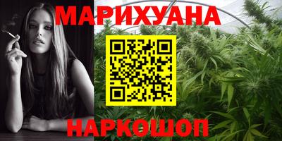 гидра Краснознаменск