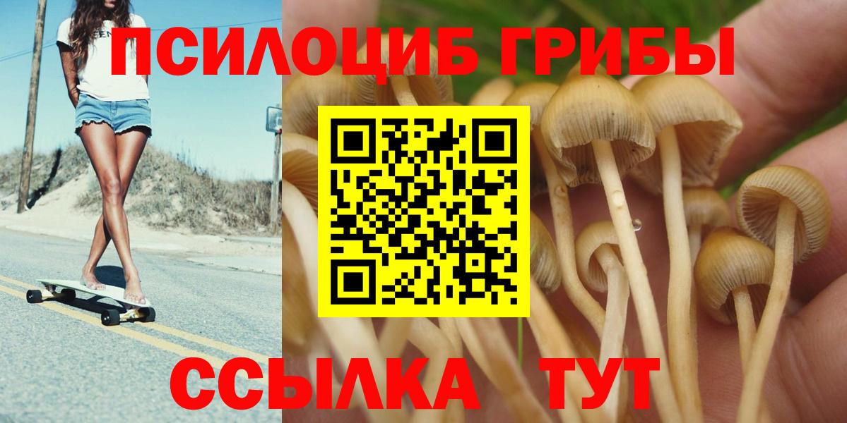 Всеволожск  Псилоцибиновые грибы Cubensis  Вход с VPN  Галлюциногенные грибы Cubensis 